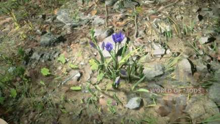 Violett Schneeglöckchen in RDR 2