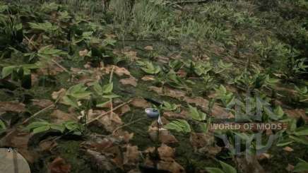 Sparrow' s egg Orchid in RDR 2