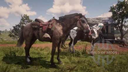 Zwei Pferde auf der Jagd in RDR 2