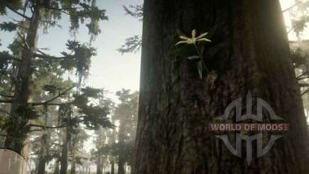 Acuna' s Star Orchid in RDR 2