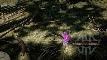 Dragon' s mouth Orchid in RDR 2