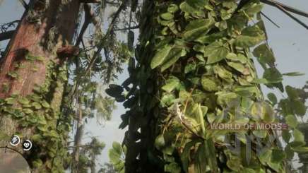 Spider Orchid in RDR 2