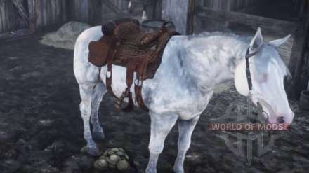 Comment changer un cheval dans le jeu Red Dead Redemption 2: guide détaillé