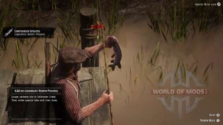 Légendaire American Redfin Pickerel dans RDR 2: comment attraper des poissons