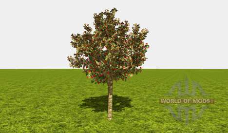 Fruit and berry trees v1.1 für Farming Simulator 2015