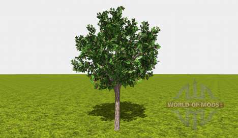 Fruit and berry trees v1.1 für Farming Simulator 2015