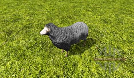 Sheep static für Farming Simulator 2015