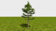 Forestry trees für Farming Simulator 2015