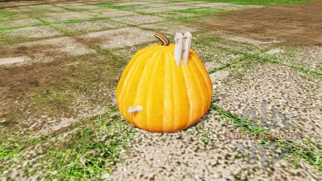 Pumpkin weight für Farming Simulator 2017