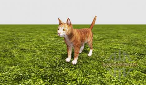 Cat pour Farming Simulator 2017