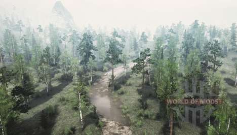 Flacon pour Spintires MudRunner