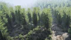 Birkenwald für MudRunner