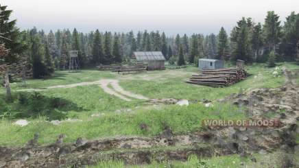 La forêt pour Spin Tires