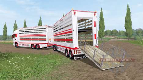Scania R730 cattle transport v2.2 für Farming Simulator 2017