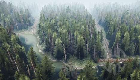 Forêt de pins 2 v1.1 pour Spintires MudRunner