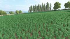 Agra Sanov pour Farming Simulator 2017
