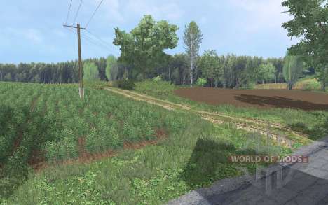 Biedrzychowice für Farming Simulator 2015