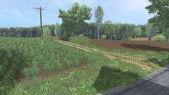 Biedrzychowice micro pour Farming Simulator 2015